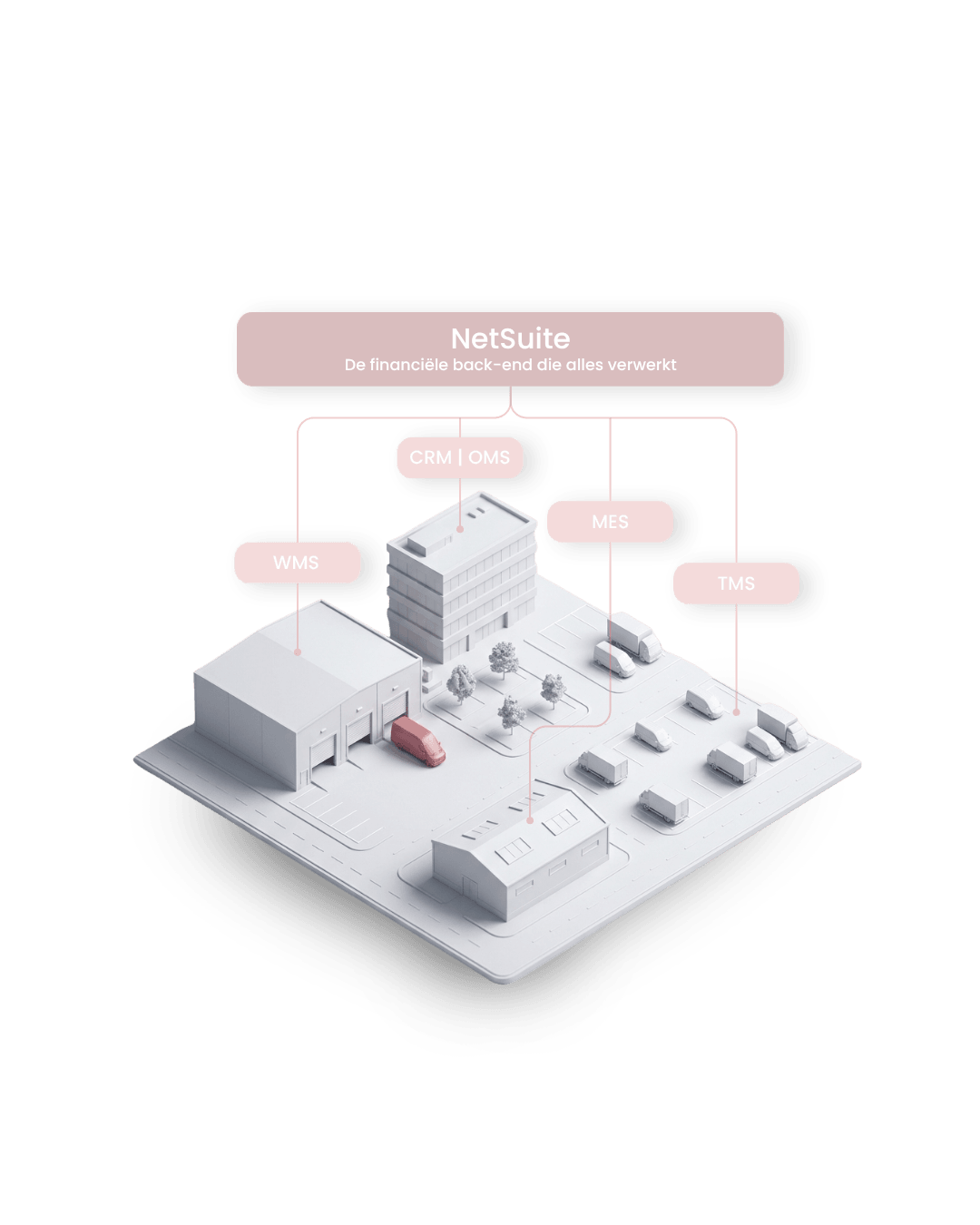 Visuals Net Suite Financiele back end