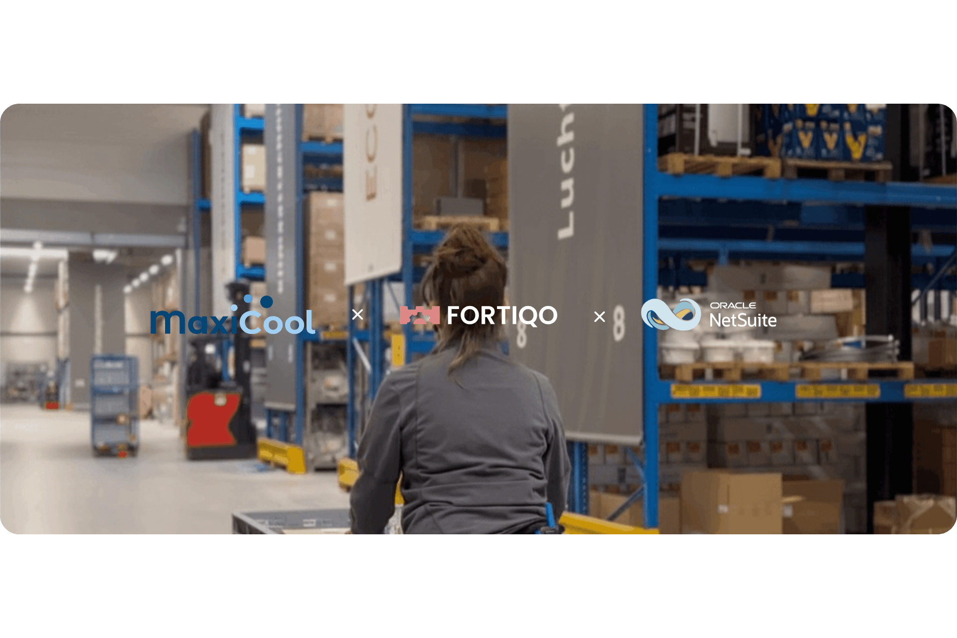 Blog Hero Maxicool kiest voor Net Suite Fortiqo