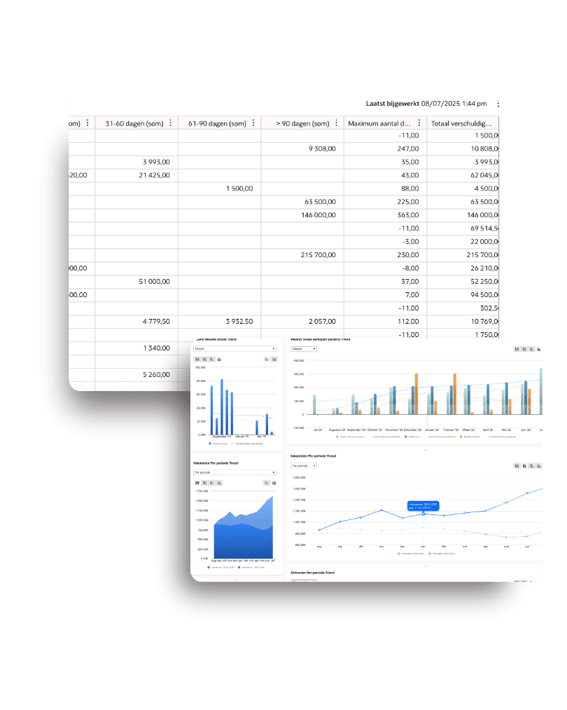 Visuals Net Suite Werkboek Analytics